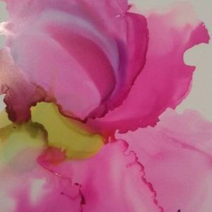 Meet your Posher, Pamela